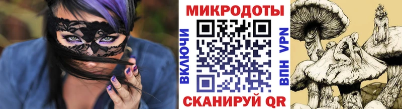 Купить где  Ардатов  Галлюциногенные грибы Cubensis 